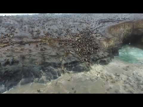 video Paseo en barco por las Islas Palomino