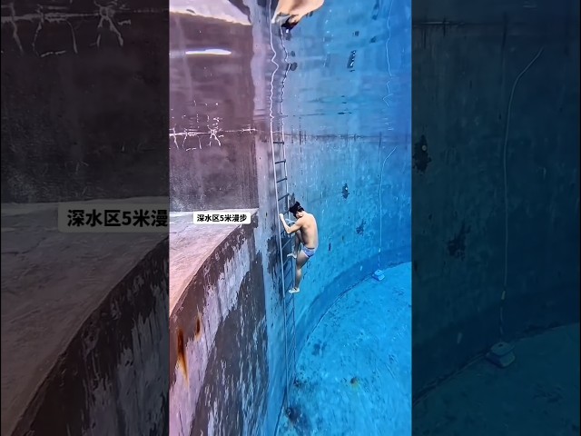 Pânico na Piscina! 🐊😱