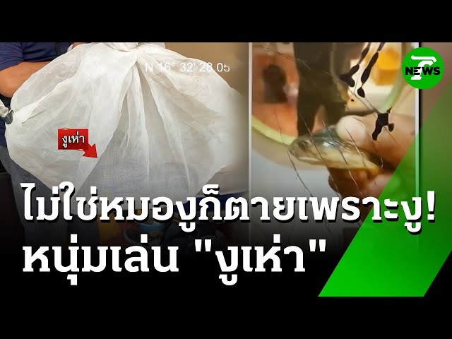 หนุ่มเล่นงูเห่า ก่อนโดนฉก เป็นศพในโรงแรม | 4 ก.ค. 68 | ห้องข่าวหัวเขียว