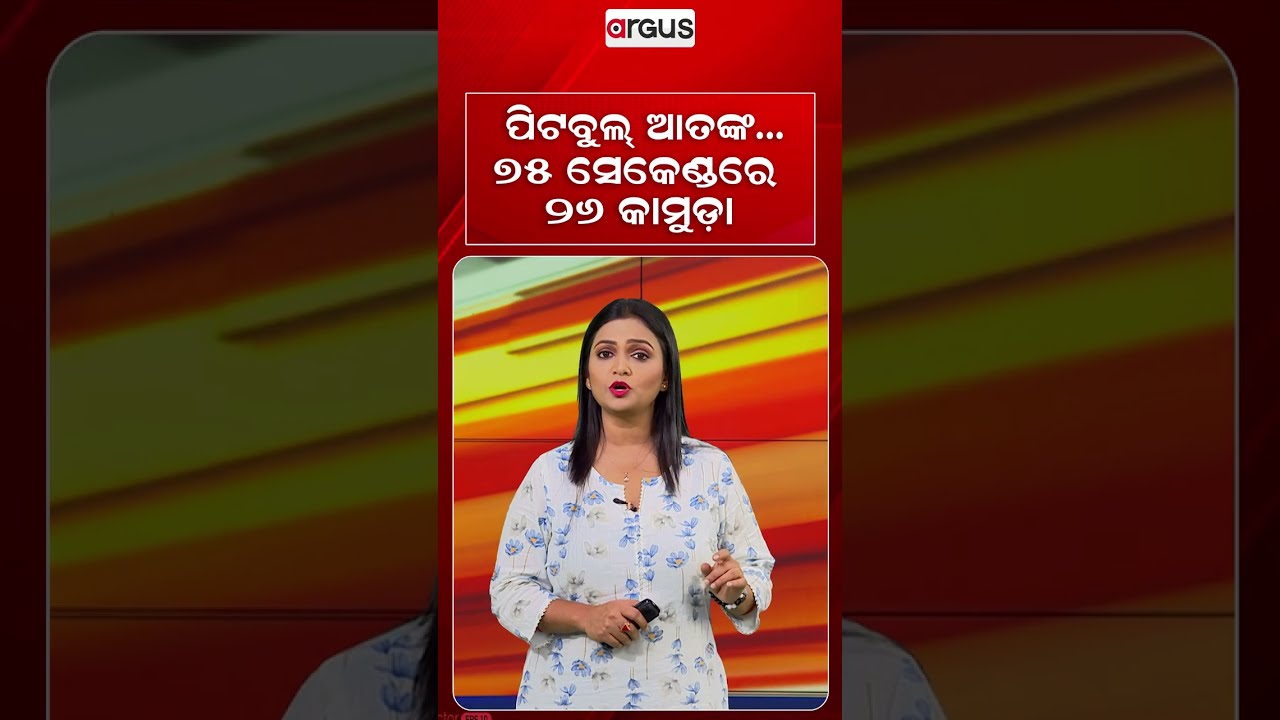 ପିଟବୁଲ୍‌ ଆତଙ୍କ... ୭୫ ସେକେଣ୍ଡରେ ୨୬ କାମୁଡା | Pitbull Attack | Dangerous Breeds | Pet Safety