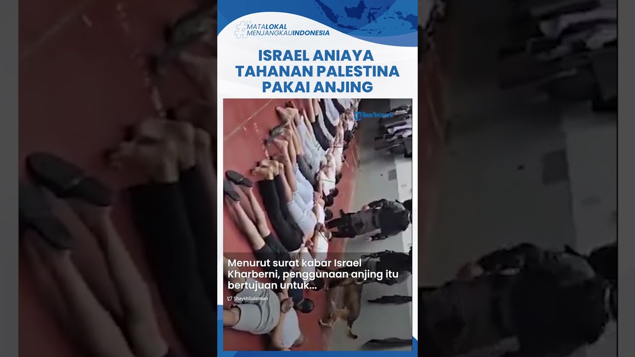 Rekaman Video Israel Aniaya Tahanan Palestina Bocor, Tawanan Diborgol Dianiaya Anjing di Kepala