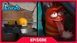 Larva - Den v životě larvy