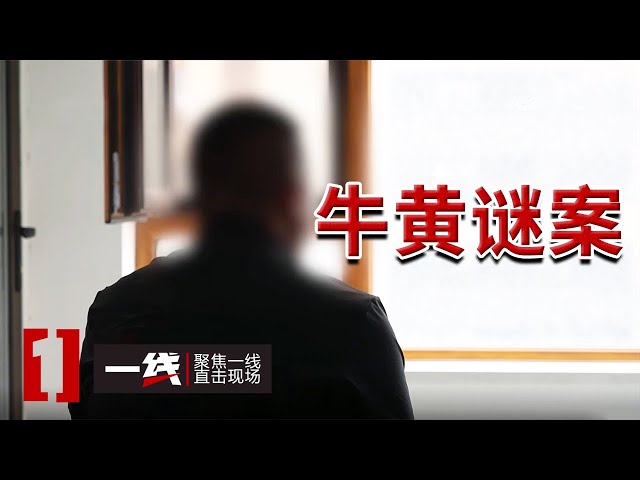 《一线》600万元左右牛黄密室蒸发！谁动了我的“金山”？ 20250708