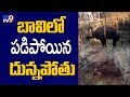 Thirsty buffalo rescued from Warangal well