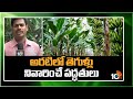 Controlling Pests Methods in Banana | అరటిలో తెగుళ్లు నివారించే పద్ధతులు | Matti Manishi | 10TV News