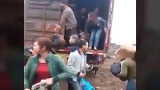 Xem Người Việt trốn trong thùng container vượt biên