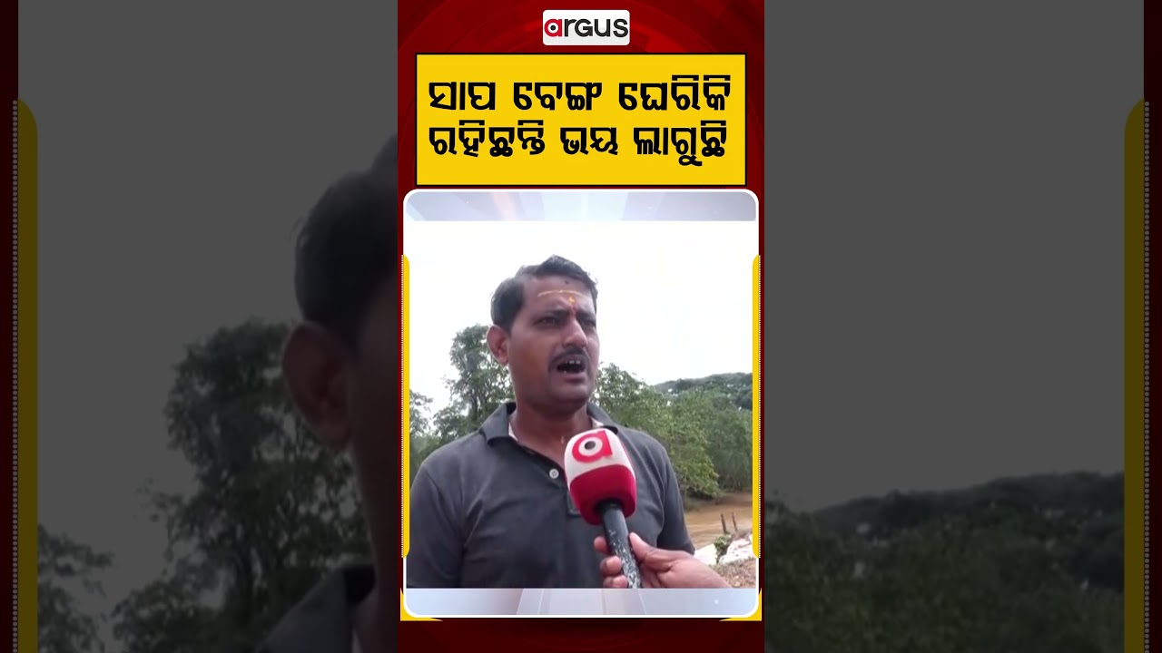 ସାପ ବେଙ୍ଗ ଘେରିକି ରହିଛନ୍ତି ଭୟ ଲାଗୁଛି | Odisha Flood | Jajpur News | Jajpur Flood | Argus News