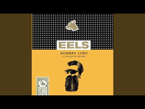 EELS - My Timing Is Off