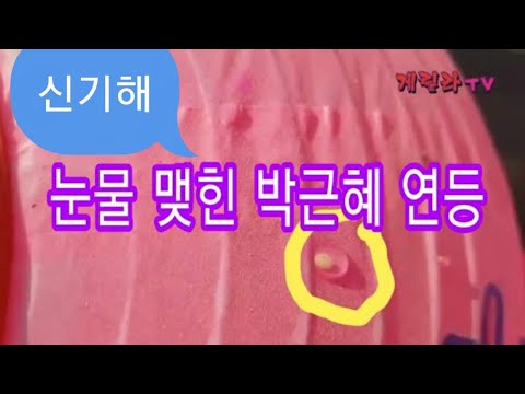 눈물 맺힌 박근혜 대통령 석방 어마무시 연등
