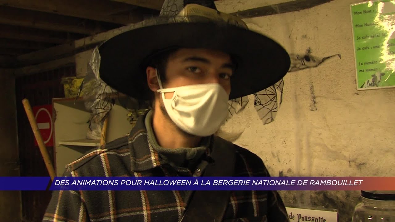 Yvelines | Des animations pour Halloween à la Bergerie nationale de Rambouillet