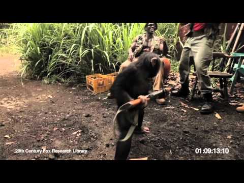 Upload mp3 to YouTube and audio cutter for RISE OF THE PLANET OF THE APES | Viral Video: Ape With AK-47 download from Youtube