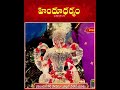 #Sri Kodakandla Sri Rama Sharma #Koti Parthivalinga Pratistapana #hindudharmam
