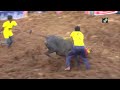Tamil Nadu Holds Bull-Taming Sport Jallikattu In Madurai