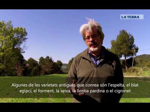 Entrevista a Josep Mestre, pagès ecològic