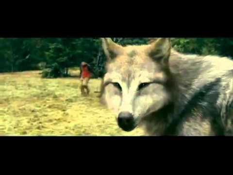 batalla hombres lobos vs vampiros CLAN INFERNAL WOLFS 11CONDADO 4 mex