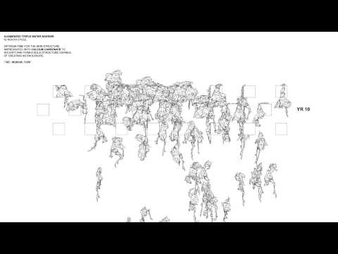 RLAA - Interactive Barrier