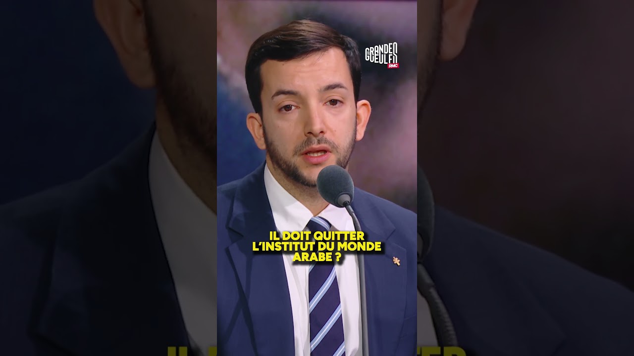 Jean-Philippe Tanguy : "La fille de Jack Lang a plus de dignité que lui, elle a démissionné !"