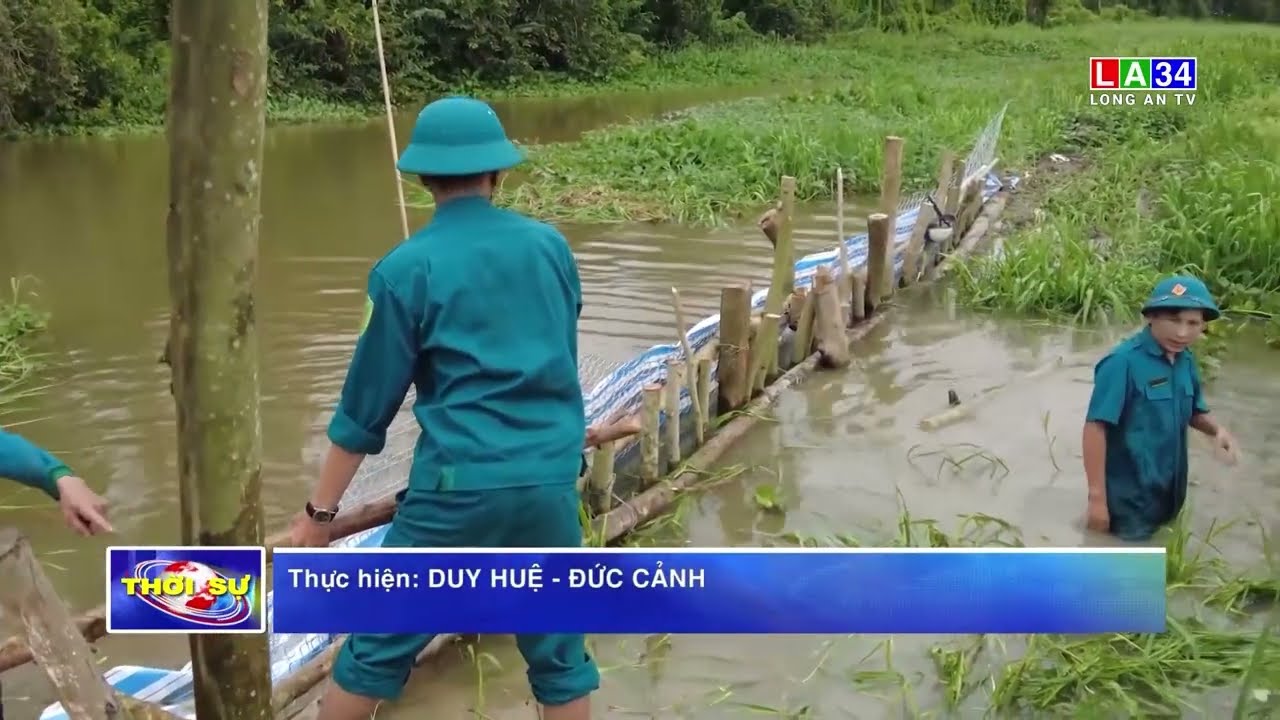 Nguy cơ ngập lũ tiếp tục đe dọa hàng chục ngàn hecta lúa tại Long An