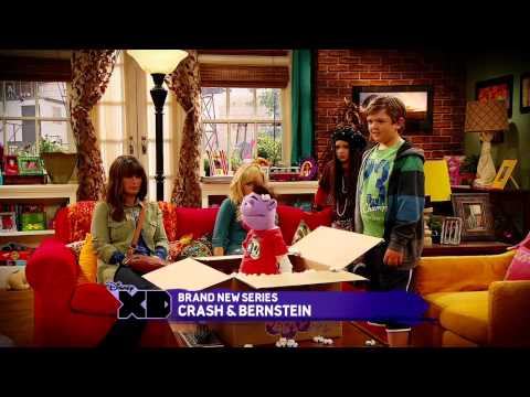 Crash & Bernstein'