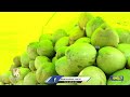 Huge Demand For Coconut Water and Sugarcane Juice | Khammam | V6 News  - 04:19 min - News - Video