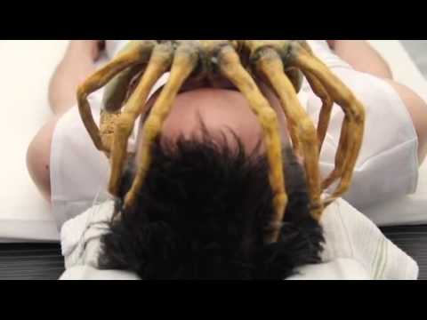 Alien Facehugger Scene YouTube