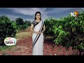 Mango Management after Harvest | మామిడి కోతల అనంతరం చేపట్టాల్సిన చర్యలు | Matti Manishi | 10TV  - 06:17 min - News - Video
