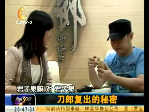 20120430 CDTV-2真相30分_刀郎復出的秘密