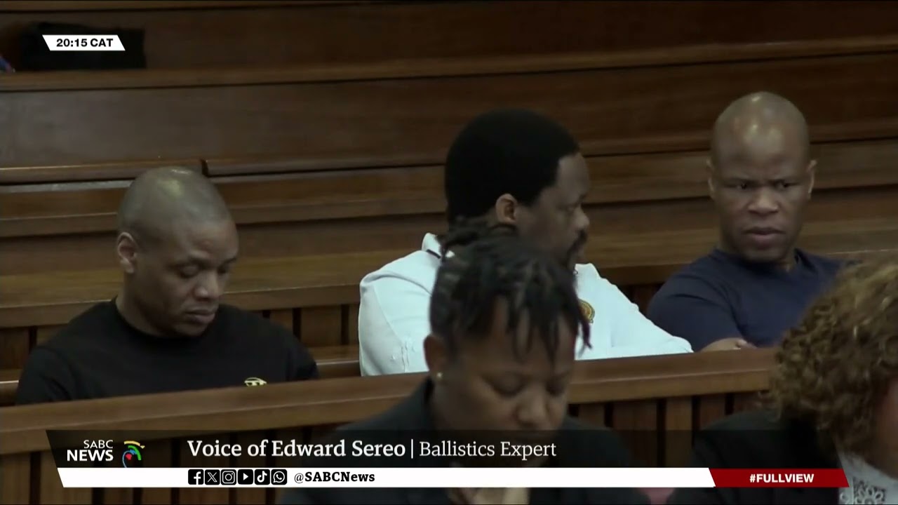 Senzo Meyiwa murder trial I New witness takes the stand