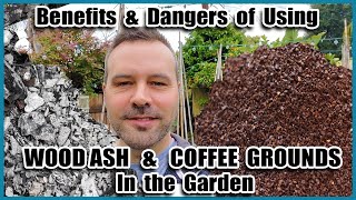 Benefits and Dangers of COFFEE GROUNDS and WOOD ASH in the Garden // Beginning Gardening