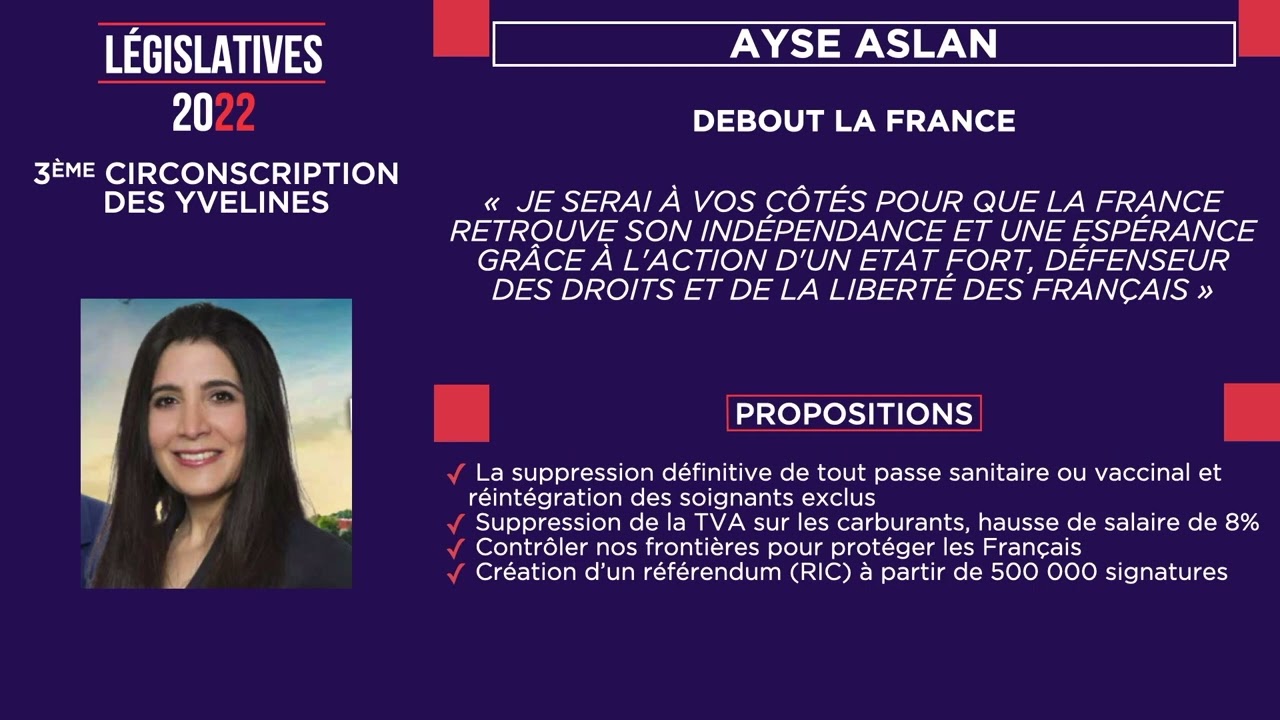 Yvelines | Législatives : les propositions des candidats de la 3ème circonscription des Yvelines