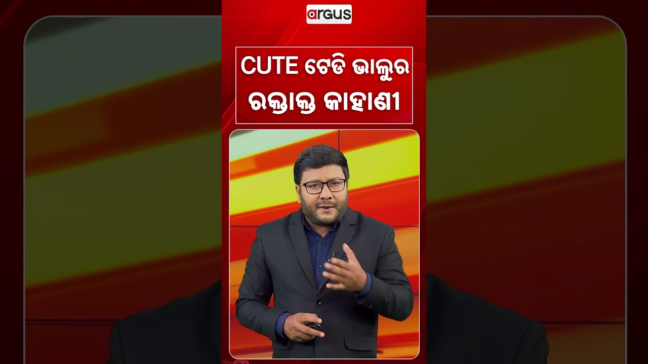 CUTE ଟେଡି ଭାଲୁର ରକ୍ତାକ୍ତ କାହାଣୀ | Argus Reels | Teddy Bear Mystery | HorrorStory | Crime Thriller