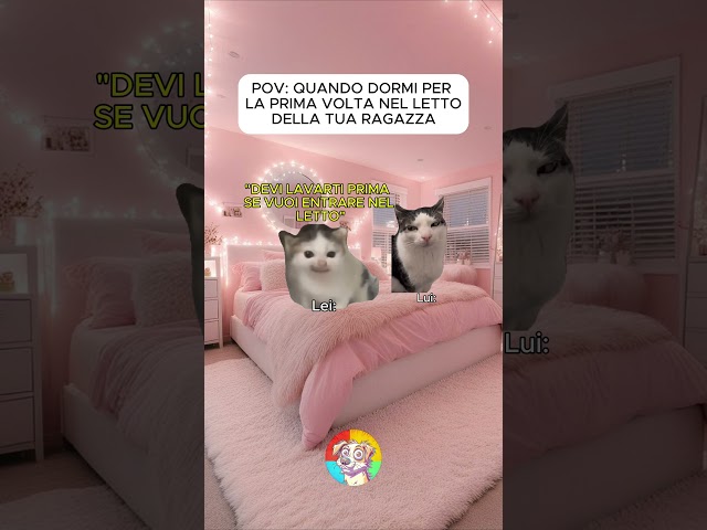 ANIMALI DIVERTENTI #106  : POV QUANDO DORMI PER LA PRIMA VOLTA DALLA TUA RAGAZZA  #shorts