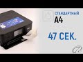 Обзор принтера Epson XP-8500 (XP-8505): мощь и компактность