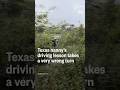 Texas nannys driving lesson takes a very wrong turn
