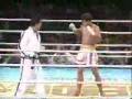 Thai Boxing VS Taekwondo