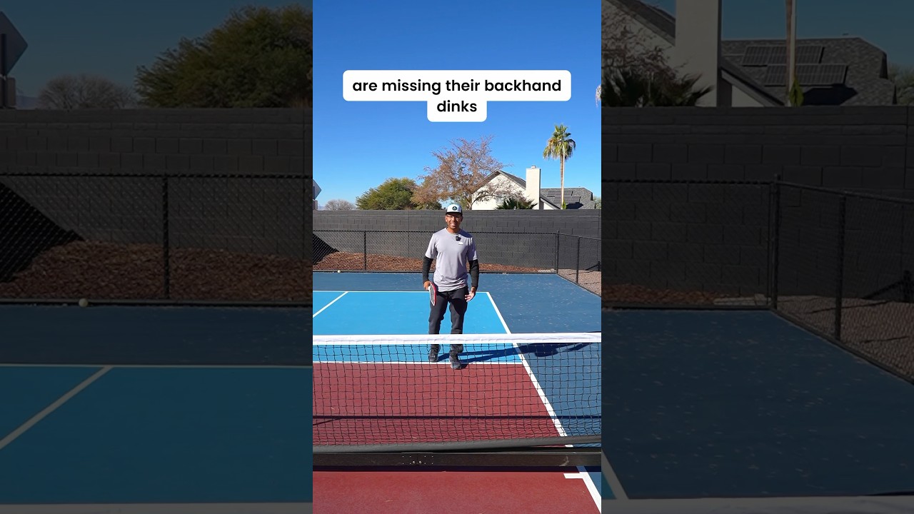Master The Backhand Dink With This Simple Technique 💪 5DayVIP.com #pickleball #shorts