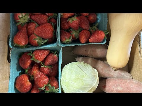 screenshot of youtube video titled GrowFood Carolina | Making It Grow