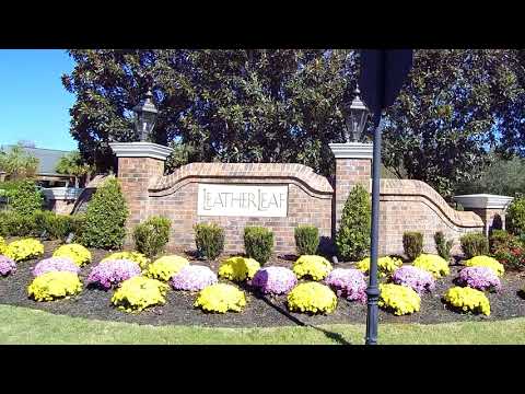 Property video