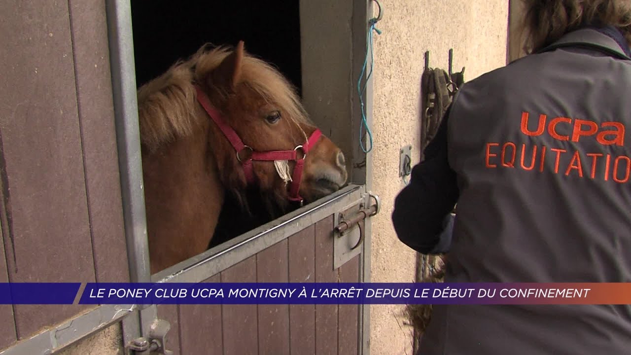 Yvelines | Le poney club UCPA Montigny à l’arrêt depuis le début du confinement
