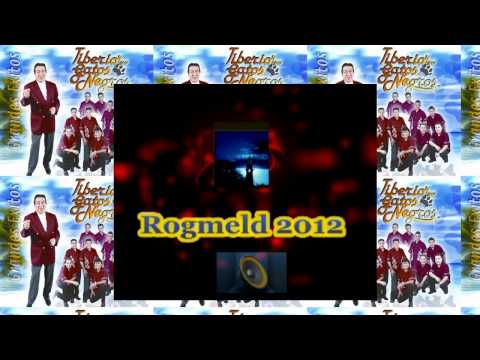 TIBERIO Y SUS GATOS NEGROS Popurri Gato.- Rogmeld 2012 Vive la Música !!