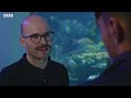 Keeping Exotic Fish as Pets | Dan O’Neill Investigates | BBC Studios  - 11:04 min - News - Video