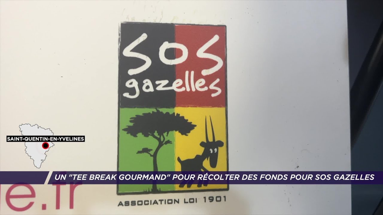 Yvelines | Un « Tee Break Gourmand » pour récolter des fonds pour SOS Gazelles