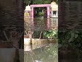 Cyclone Michaung: Chennai में सड़कें जलमग्न हो गईं, सड़कों पर फंसे रहे वाहन  - 00:37 min - News - Video