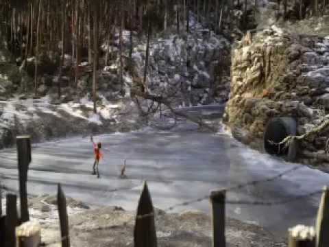 Peter & the Wolf'