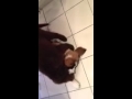Hugo et Lola