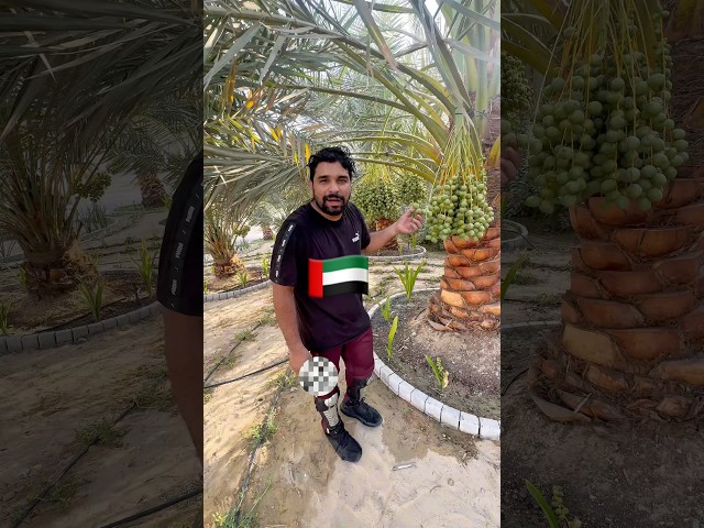 Only dubai 🇦🇪😇#dubai #shorts #youtubeshorts #youtuber #viralshort #dubailfe #vlog #fypシ゚viral
