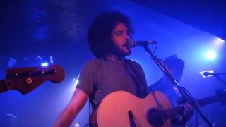 Brownbear live @ King Tuts : Olive Tree