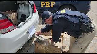 PRF prende mulher com quase 70 quilos de maconha na BR-116, em Camaquã
