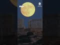 Full moon rises behind ancient Greek temple - ABC News