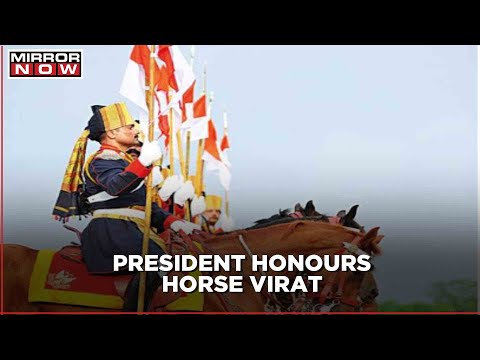 President's Horse Virat awarded for selfless service; first Parade Horse to be awarded